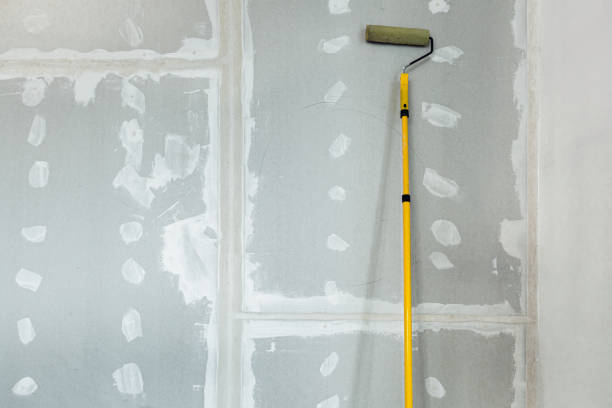 Professional Drywall and Painting Service in Argyle, TX